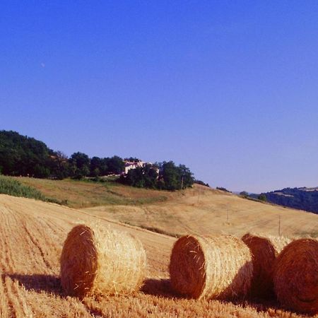 Agriturismo Il Fienile Di Ca Battista Cagli Zewnętrze zdjęcie