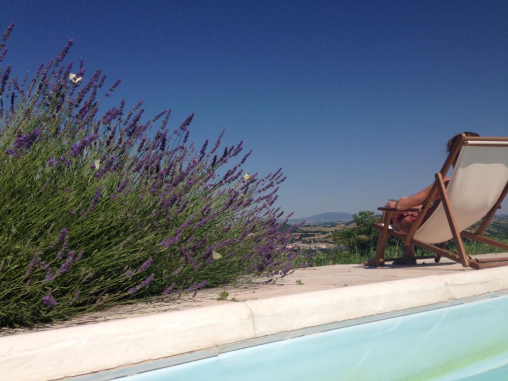Agriturismo Il Fienile Di Ca Battista Cagli Zewnętrze zdjęcie