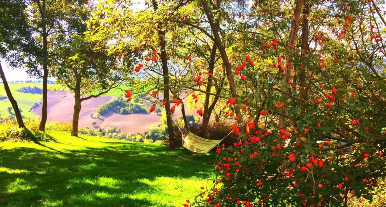Agriturismo Il Fienile Di Ca Battista Cagli Zewnętrze zdjęcie