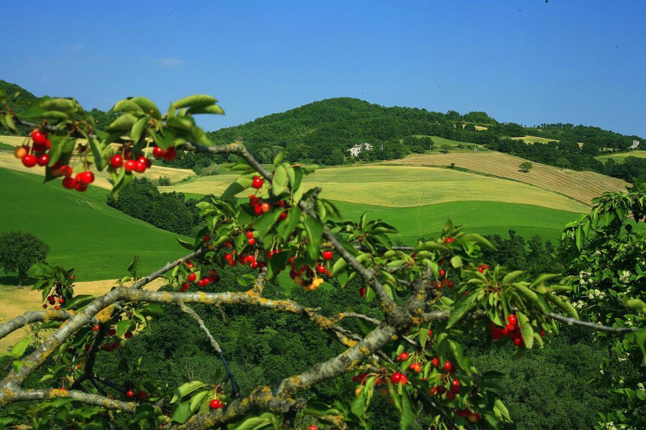 Agriturismo Il Fienile Di Ca Battista Cagli Zewnętrze zdjęcie