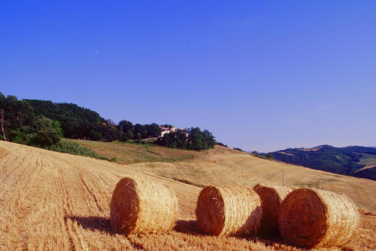 Agriturismo Il Fienile Di Ca Battista Cagli Zewnętrze zdjęcie